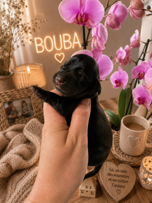 BOUBA